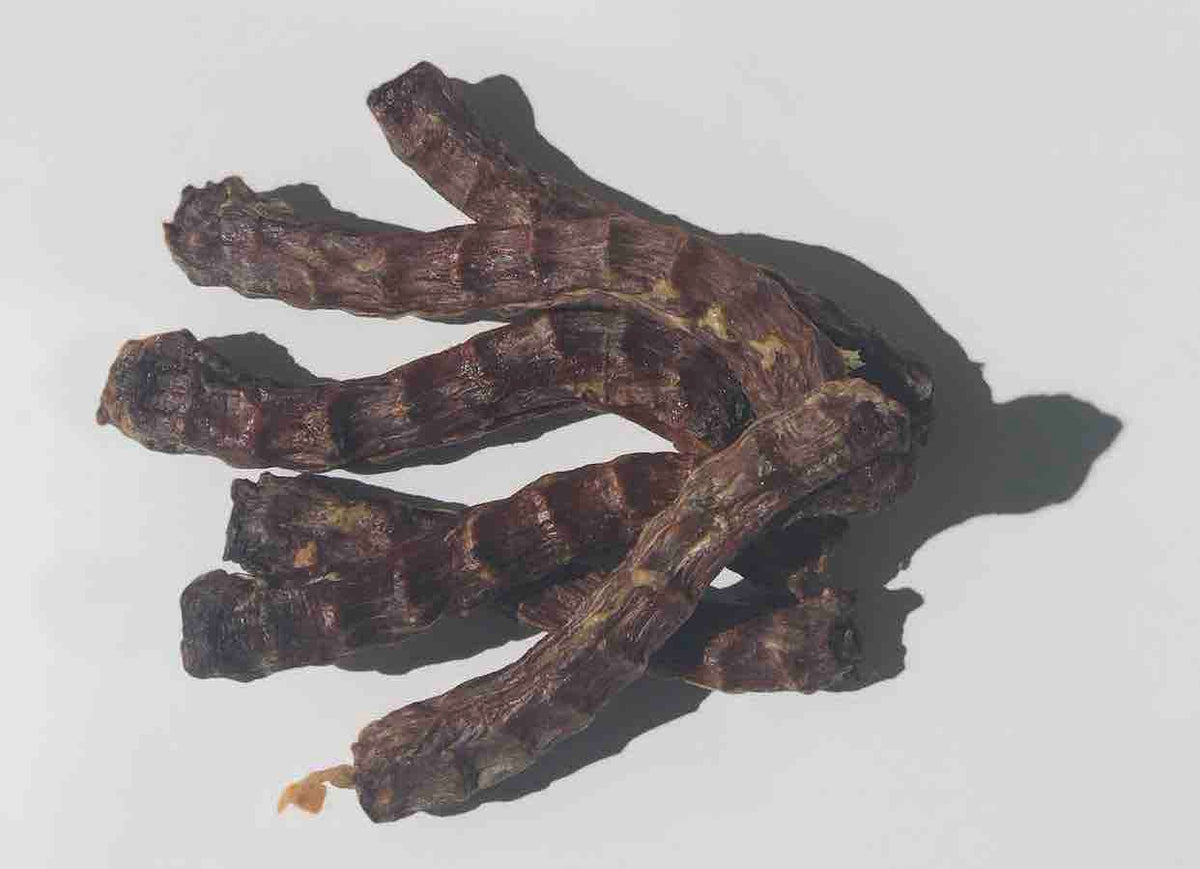 Dehydrated duck feet for best sale dogs safe