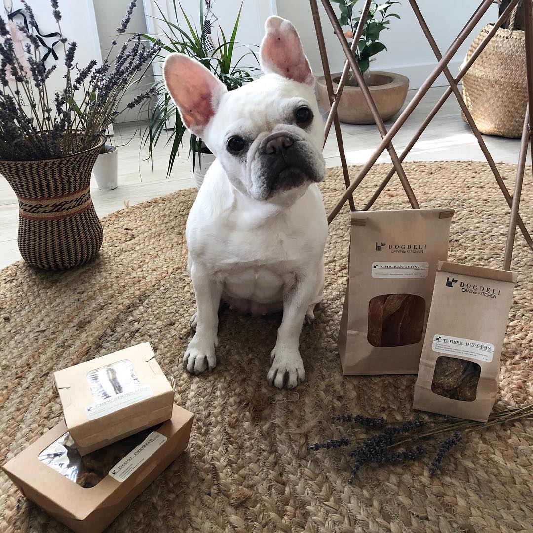 Natural Dog Treats & Chews | DOGDELI