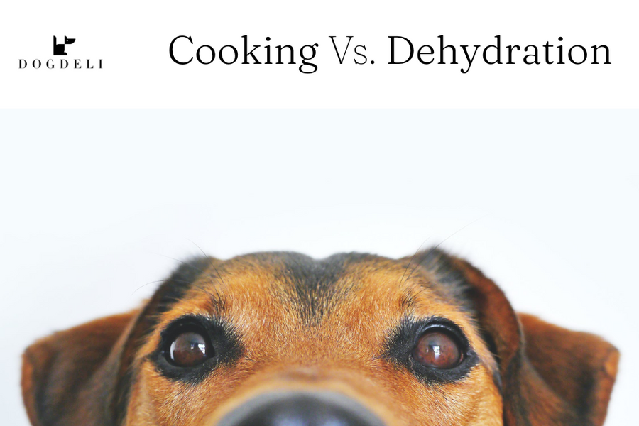 How Dehydrated Dog Treats Revolutionize Pet Nutrition